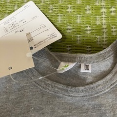 ミッキー＆ミニー　100の画像