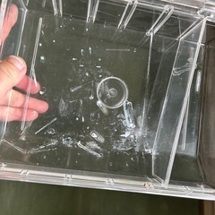 薬品棚　アンプルケース　棚　引き取りのみの画像