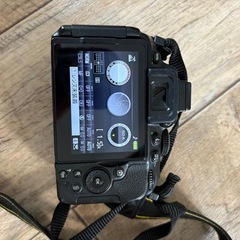 Nikon D5300の画像
