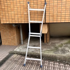 ハセガワ　アルミ合金製兼用脚立　RC-09