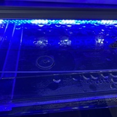 引き取り者決定　120×45×45 オーバーフロー アクリル水槽 水槽台一式の画像