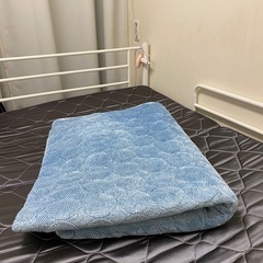カーペット