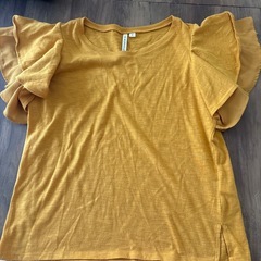 決定しました！レディース服0円の画像