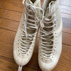 スケート靴の画像