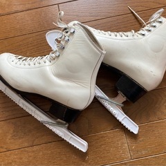 スケート靴の画像