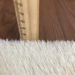 フロアマットの画像
