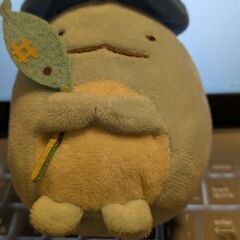 すみっコぐらしとかげ色々