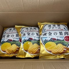 湖池屋　コイケヤ　黄金の果肉