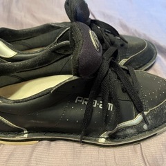 ボーリングシューズ　約25.0Cmの画像