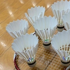 一緒にバドミントンしませんか？😆🏸✨