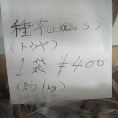 種芋
