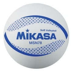 ⭐︎ソフトバレーメンバー募集です⭐︎