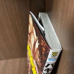 バキ道　11巻の画像