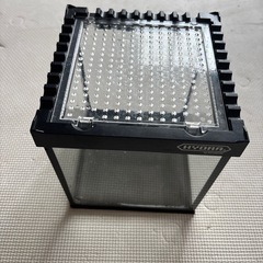 爬虫類ケージヒュドラ