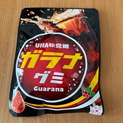 北海道限定！ガラナグミ