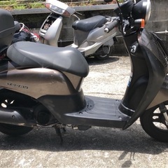 AF67　トゥデイ 原付 ①