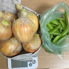 スナップエンドウ300g 玉ねぎ６個　野菜