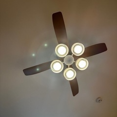 オーデリック　シーリングファン＋シーリングライト　LEDの画像