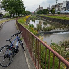 車やバイクや自転車で放浪してオブジェや景色を楽しむ。