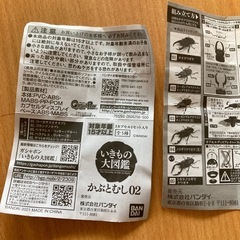 いきもの大図鑑　カブトムシ　クワガタの画像