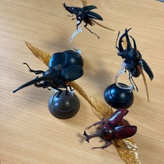 いきもの大図鑑　カブトムシ　クワガタの画像