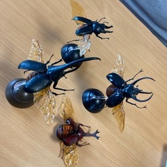 いきもの大図鑑　カブトムシ　クワガタ