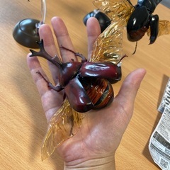 いきもの大図鑑　カブトムシ　クワガタの画像