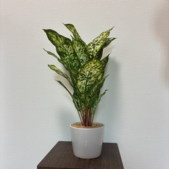 フェイク観葉植物