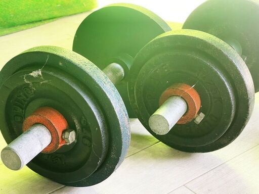 ベンチプレス ダンベル ウェイト多数 セット □A-984