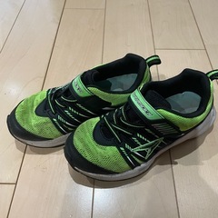 ジュニアシューズ  瞬足