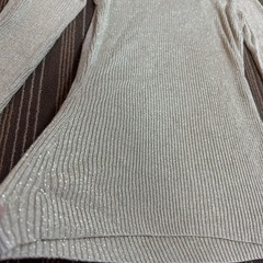 ZARA ラメ　トップスの画像