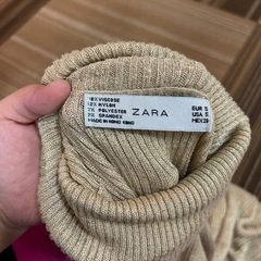 ZARA ラメ　トップスの画像