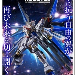 購入特典あり　METAL ROBOT魂　ストライクフリーダム弍式...