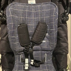 エアバギー　ココプレミアム　代官山限定モデルの画像
