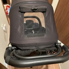 エアバギー　ココプレミアム　代官山限定モデルの画像