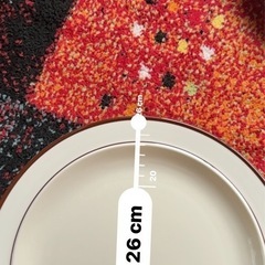 26センチ　皿　4枚の画像