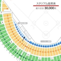 良席 富山アルペンスタジアム 巨人 vs 広島 SS席 3塁側 0列 2連番 プロ野球チケット 読売ジャイアンツ 広島カープの画像