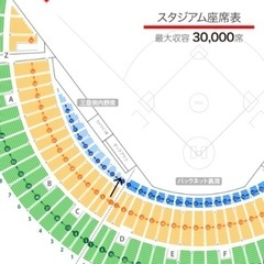 良席 富山アルペンスタジアム 巨人 vs 広島 SS席 3塁側 2列 2連番 プロ野球チケット 読売ジャイアンツ 広島カープの画像