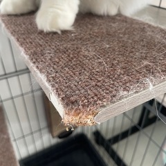 キャットケージ  猫ケージの画像