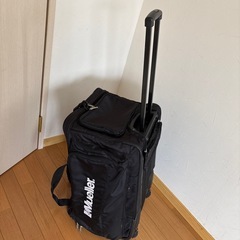 キャリーバッグの画像