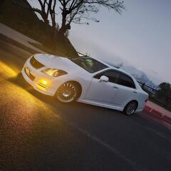 カールソン19インチの画像