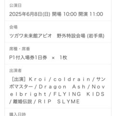 チャグロック2025チケット×2 P1付き　¥25,000