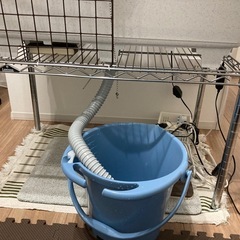 亀水槽★水換え楽ちんの画像