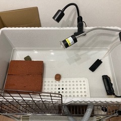 亀水槽★水換え楽ちんの画像