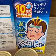 はごろも煮6缶冷凍シート 3箱の画像