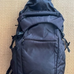 ヨネックス　ラケットバッグの画像