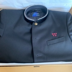 新品　学ラン　175Y