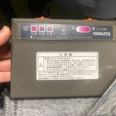 ホットカーペット 譲りますの画像