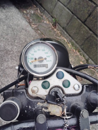 スズキ　
グラストラッカー