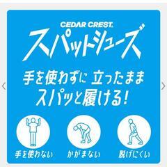 スパット履けるスニーカー　25.0cmの画像